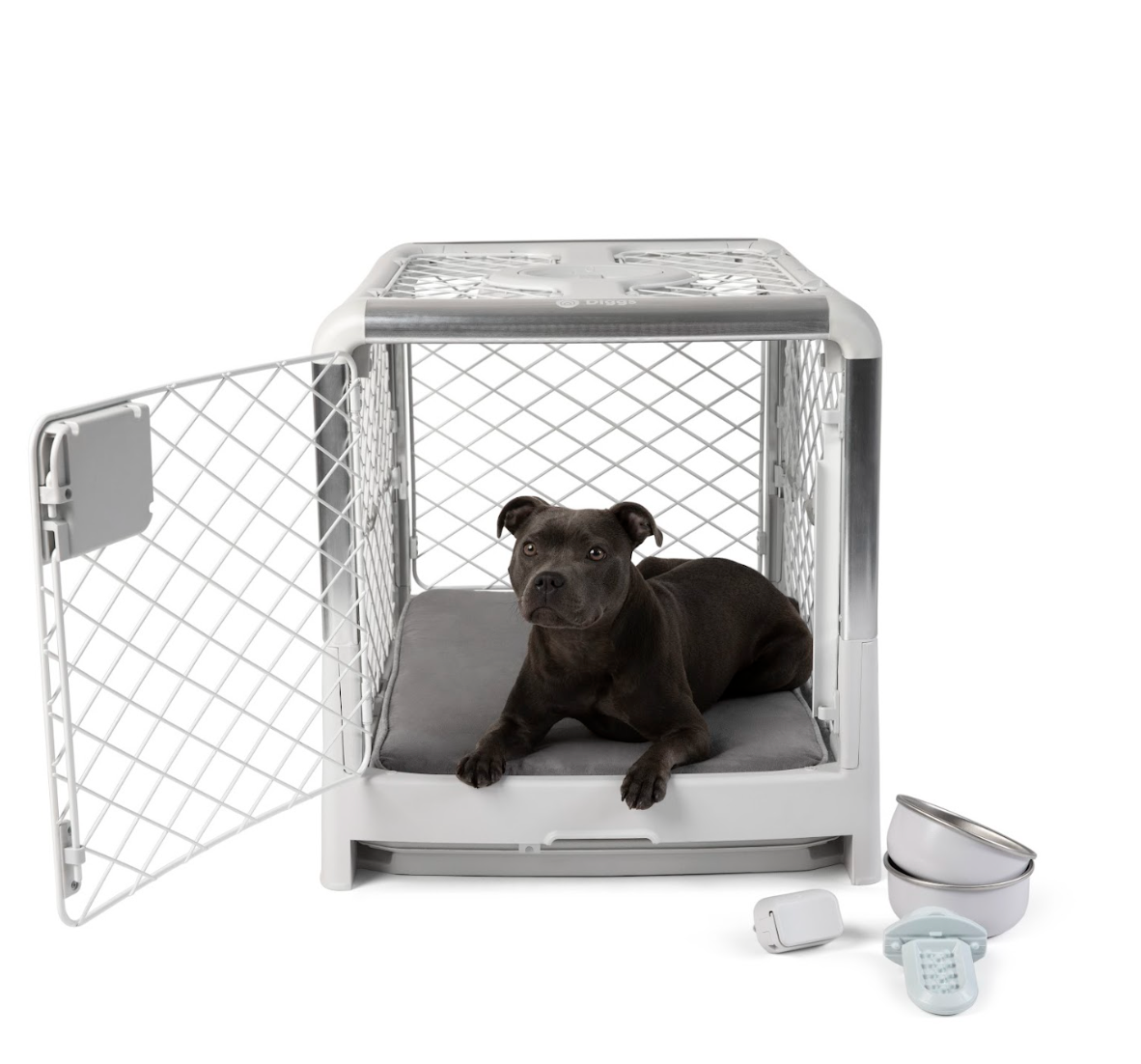 Black american staffordshire terrier inside of a Diggs Revol Dog crate with two bowls and a Groov training aid