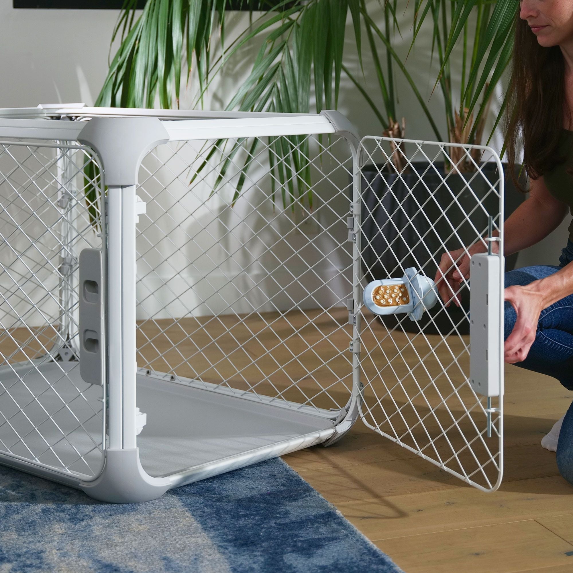 Evolv | Crate Training Quick Guide