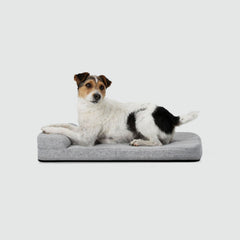 Bolstr Evolv Bed