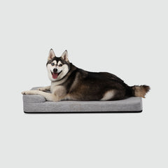 A husky dog laying on top of a dog bed