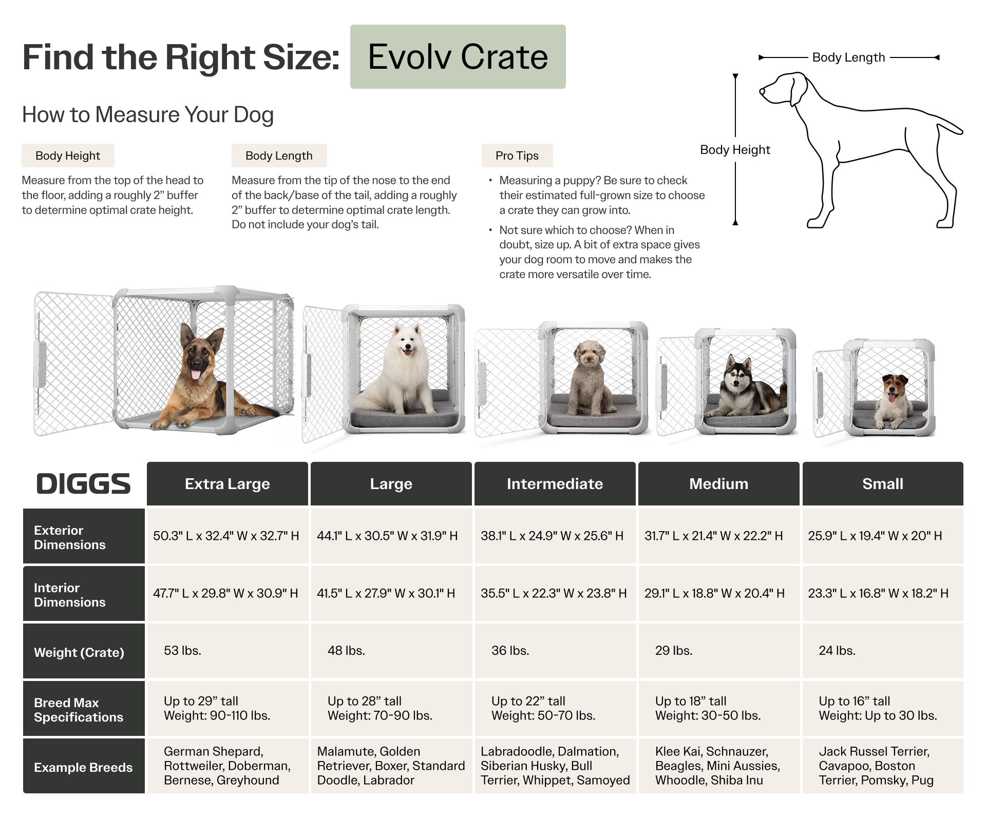 Petmate Sky Kennel Dog Travel Crate Dimensions What Size Puppy