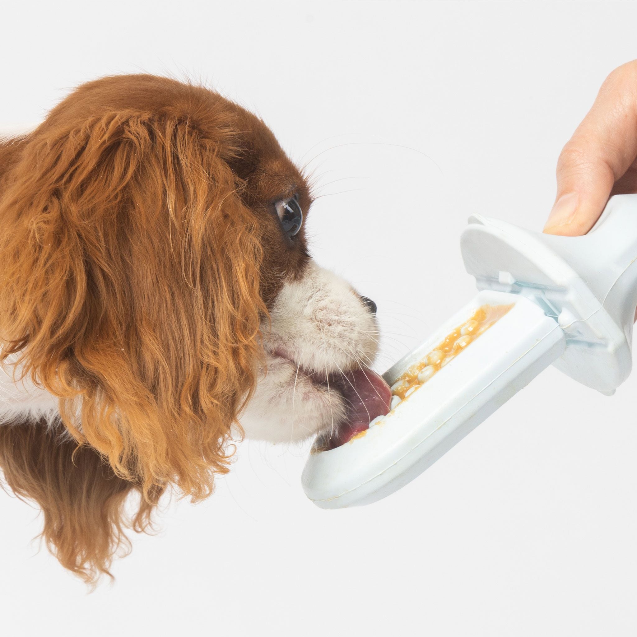 Groov - Dog Training Aid | Diggs®