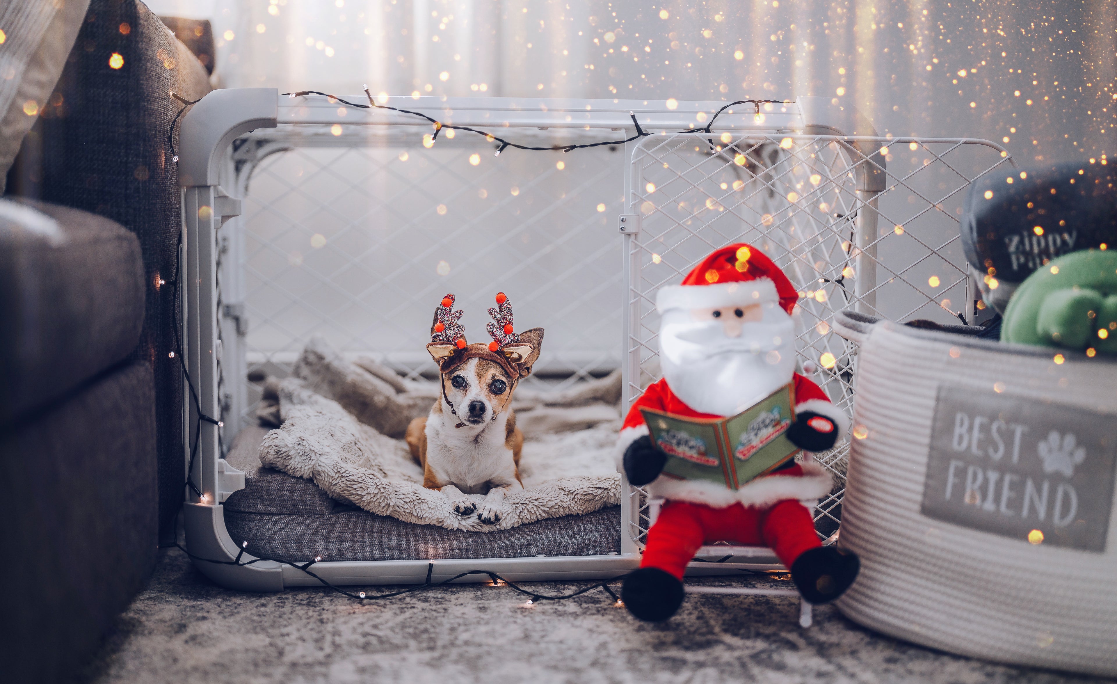 Dog in a pet crate with a Santa Claus toy and festive decorations.