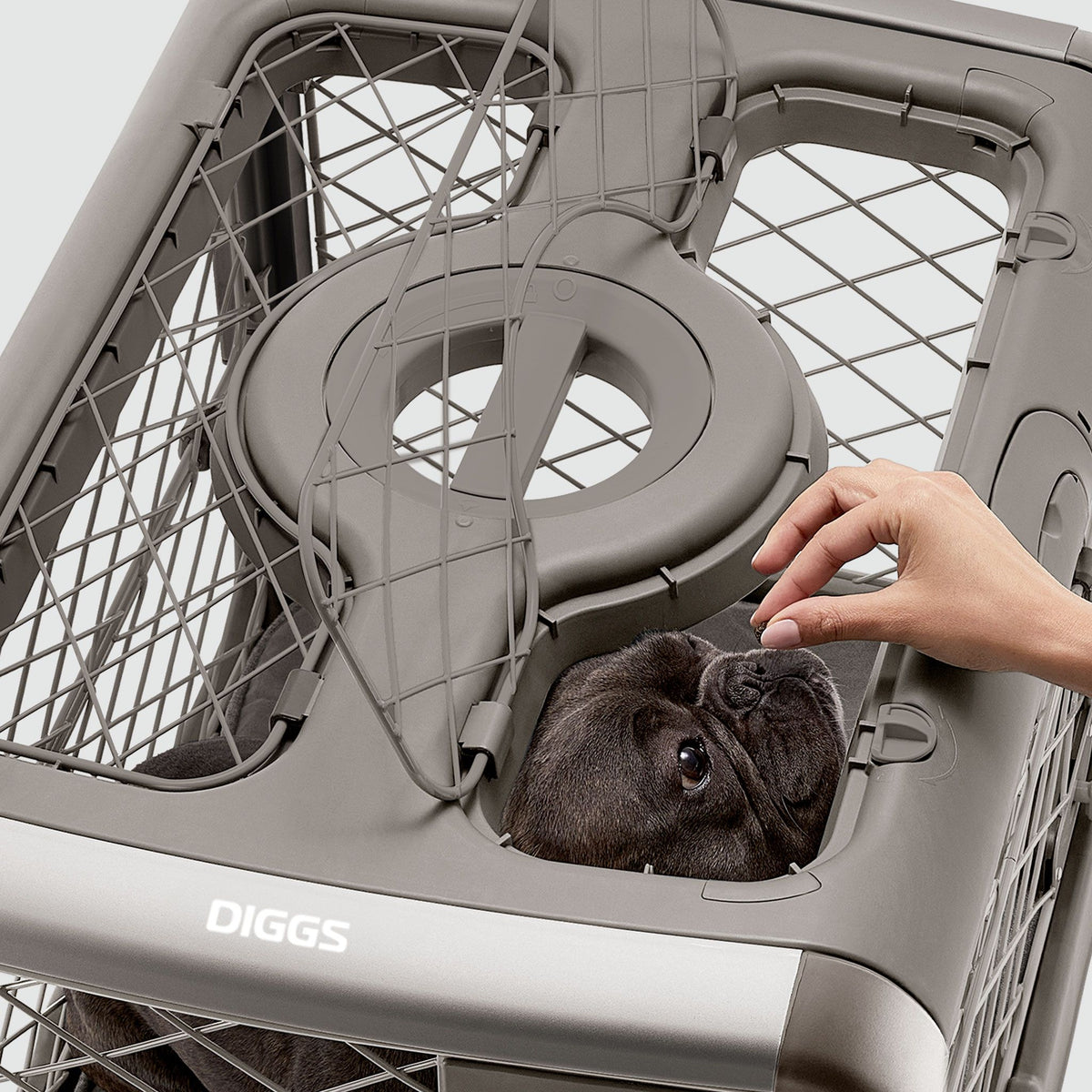 A person feeding a treat to a dog in a Revol through the open ceiling hatch