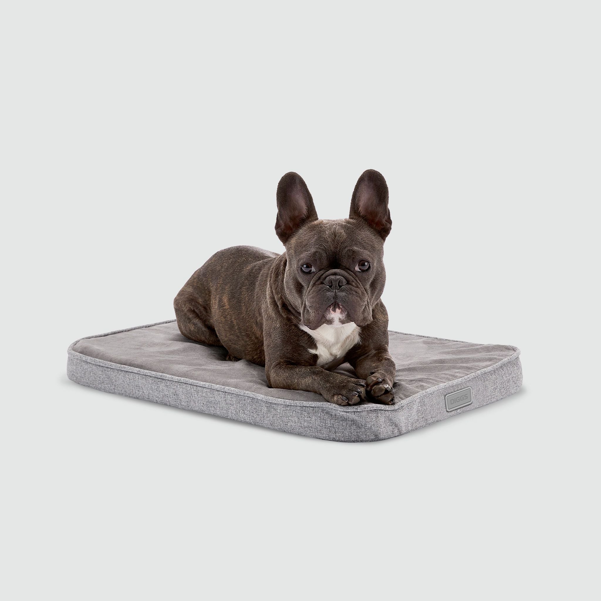 A French Bulldog laying on a Snooz pad pictured from the front on a white background.