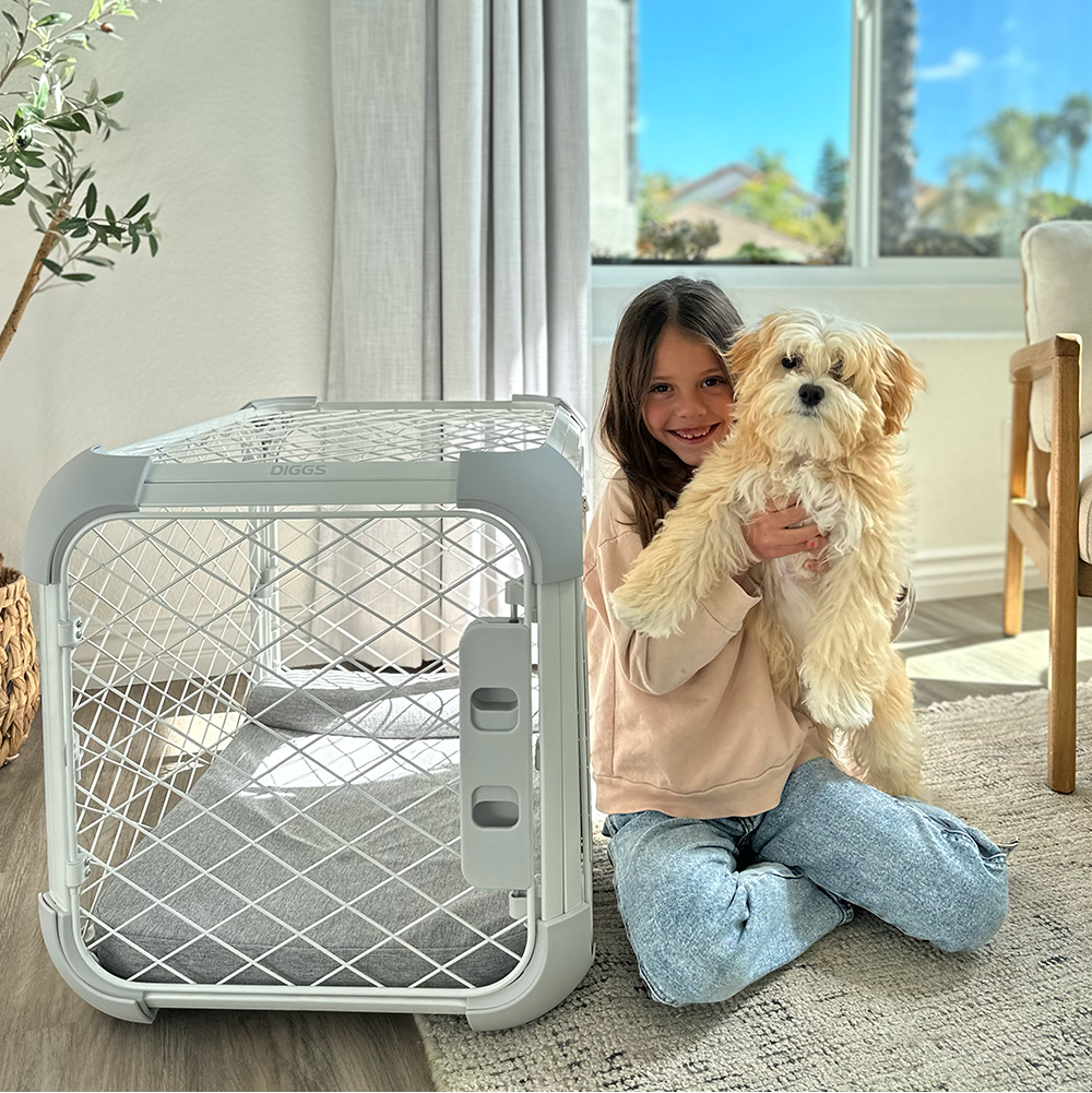 Child holding a dog next to a pet carrier in a bright room with large windows.