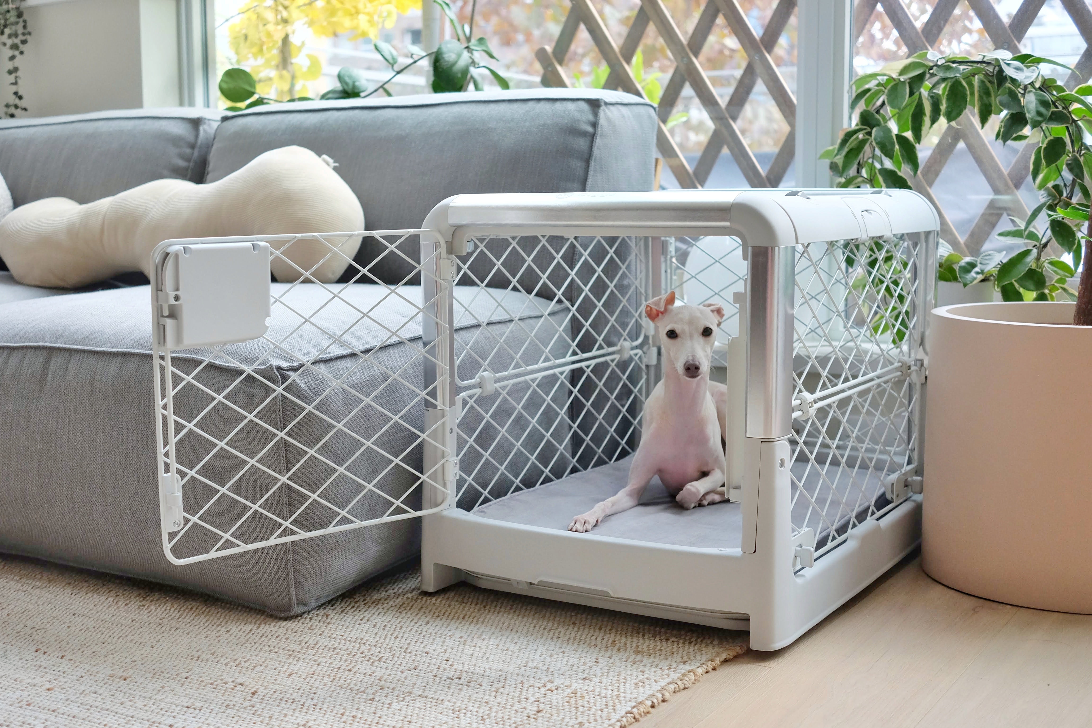Snooz - Premium Dog Crate Pad | Diggs